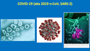 microscopic and 3-D rendered images of SARS-CoV-2 virus